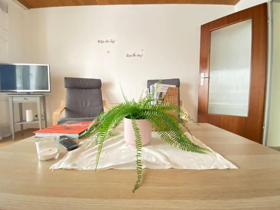 Cozy Home In South-Germany Klettgau ภายนอก รูปภาพ